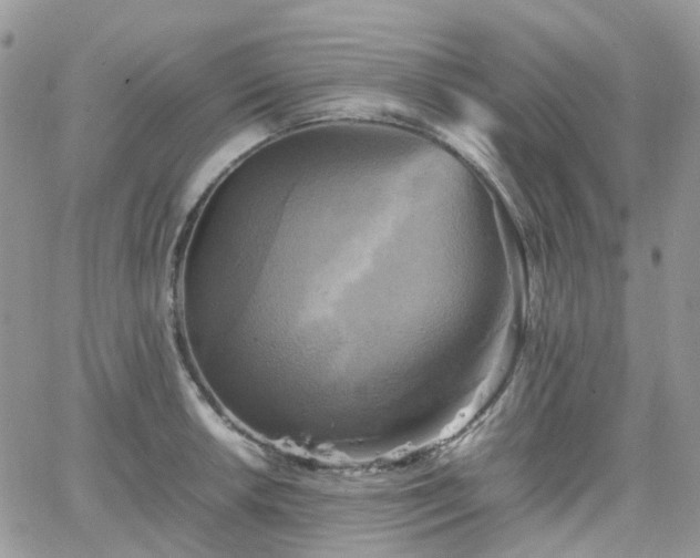 X0000066521042200603241331