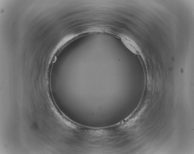 X0000066521045200603241331