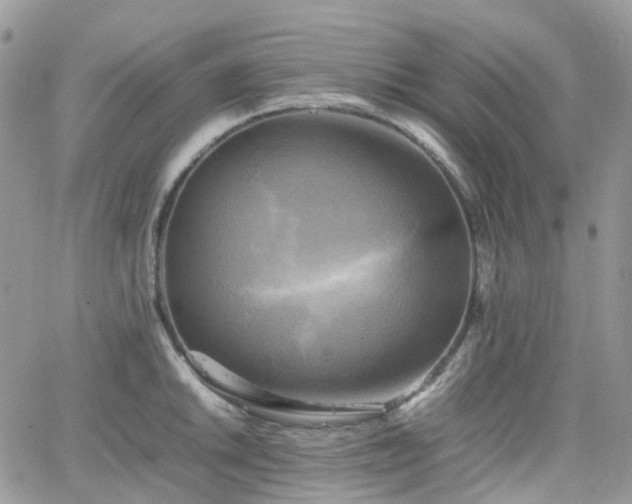 X0000066521046200603241331