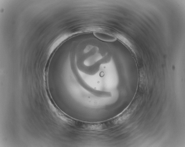 X0000066521047200603241332