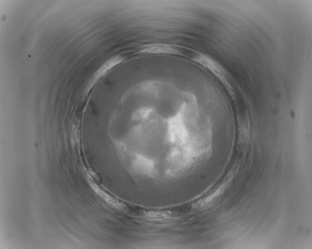 X0000066521049200603241332