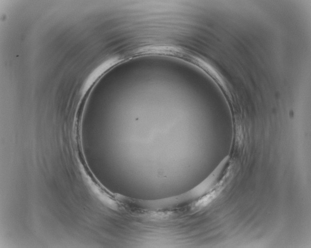 X0000066521050200603241332