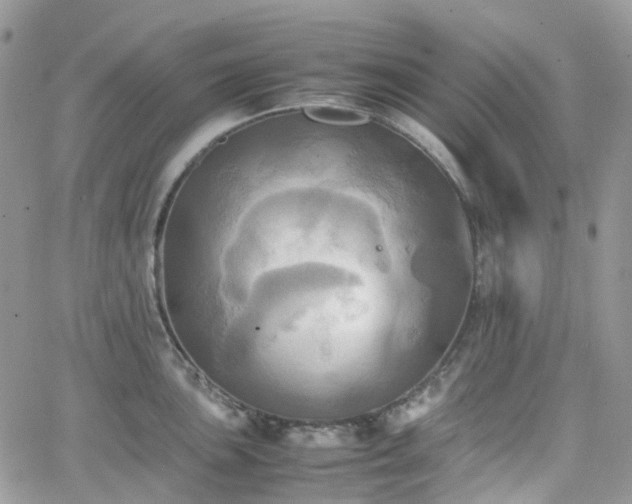 X0000066521051200603241332