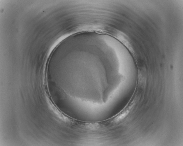 X0000066521052200603241332