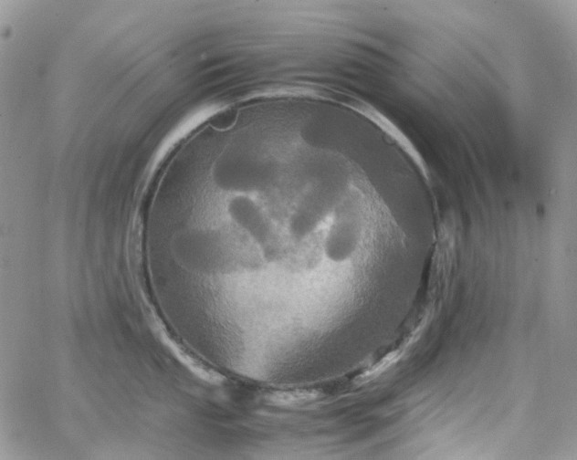 X0000066521053200603241332