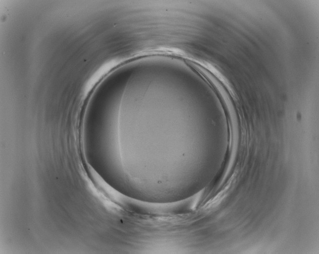 X0000066521054200603241332