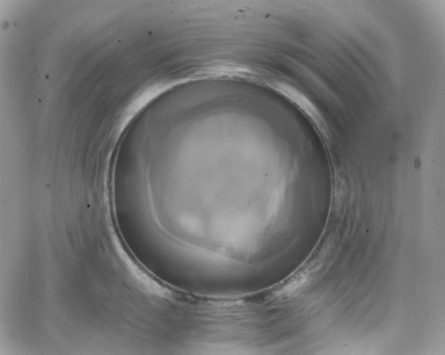 X0000066521055200603241332