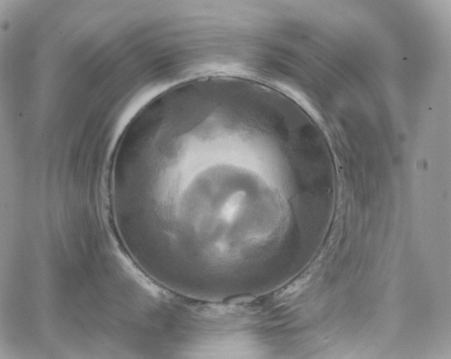 X0000066521056200603241332