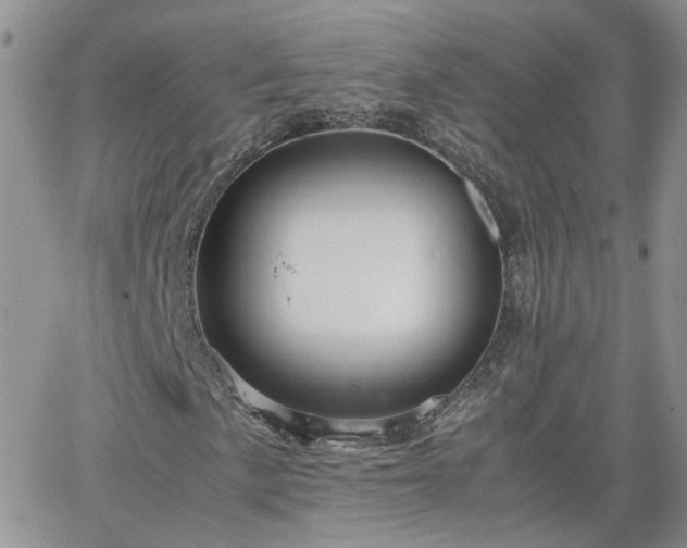 X0000066521057200603241331