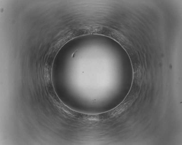 X0000066521058200603241331