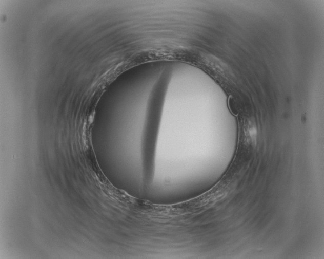 X0000066521060200603241331