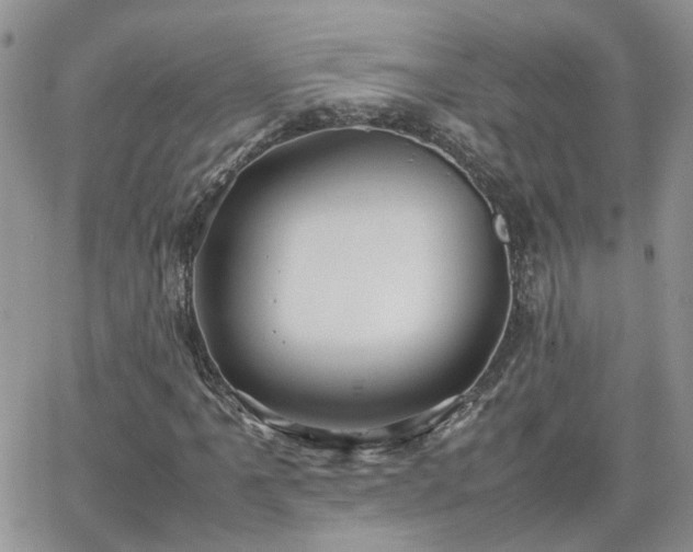 X0000066521061200603241331