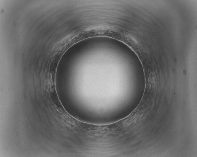 X0000066521062200603241331