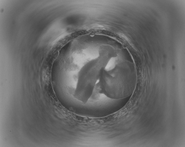 X0000066521063200603241331