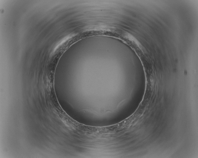 X0000066521064200603241331