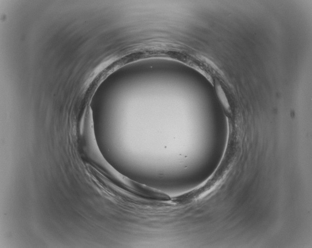 X0000066521065200603241331