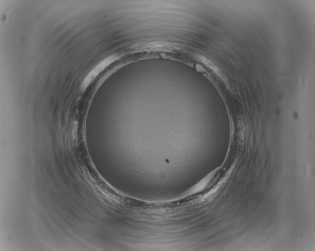 X0000066521066200603241331