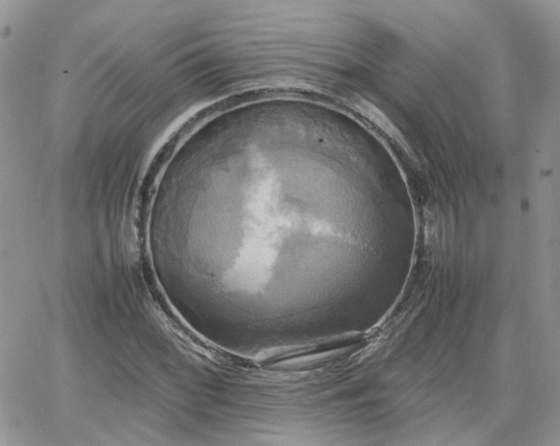 X0000066521068200603241331