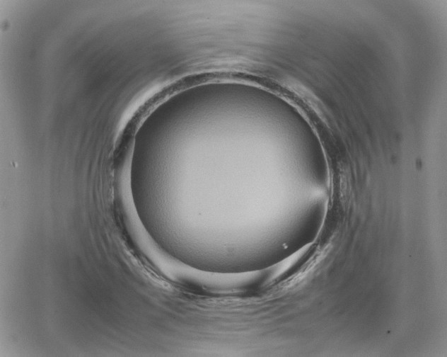 X0000066521069200603241331