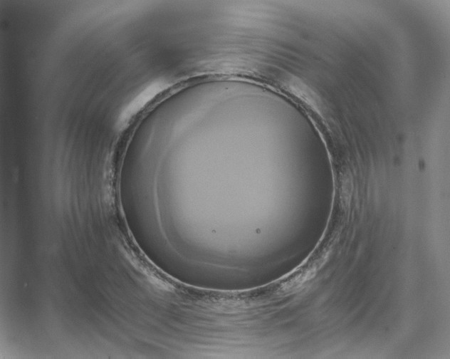 X0000066521071200603241331