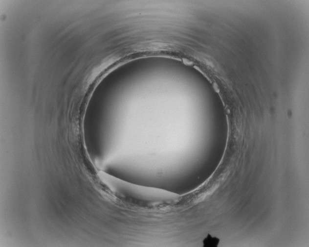 X0000066521073200603241331