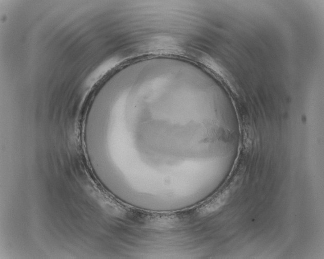 X0000066521074200603241331