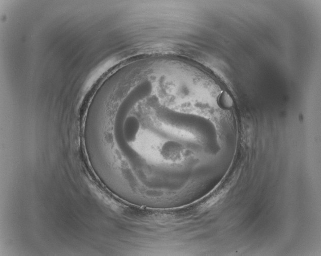 X0000066521075200603241331