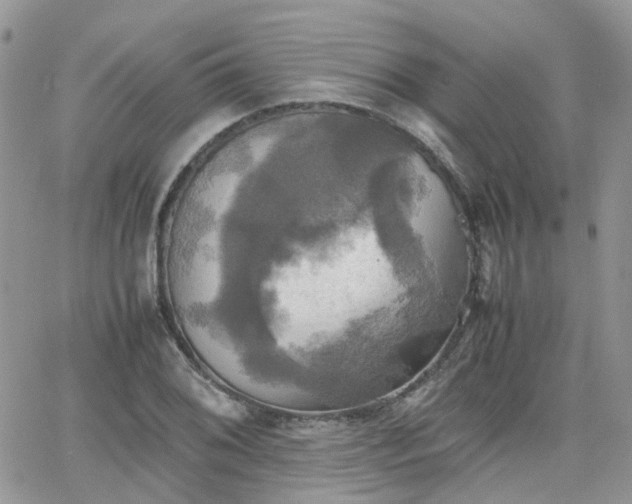 X0000066521076200603241331