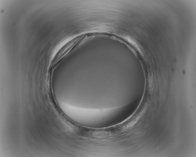 X0000066521077200603241331