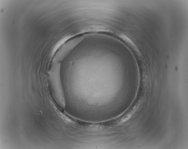 X0000066521081200603241330