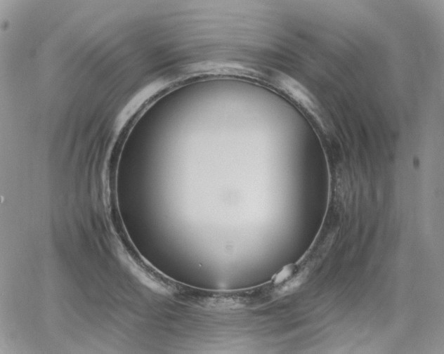 X0000066521082200603241330