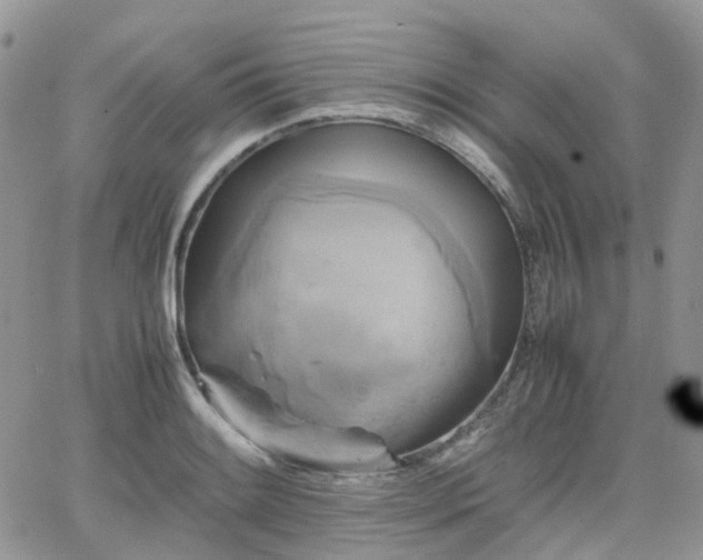 X0000066521084200603241330