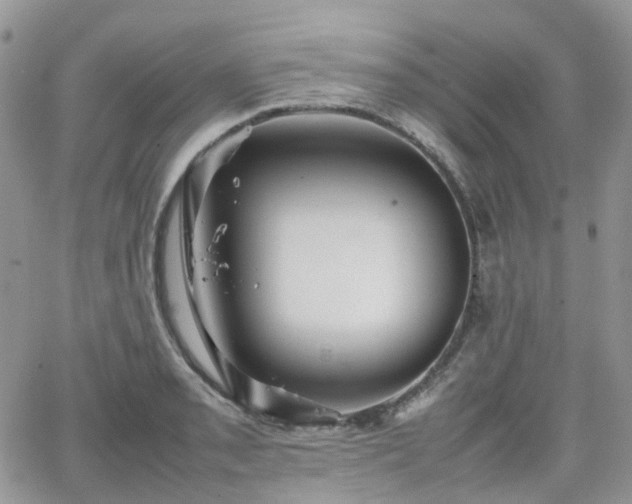 X0000066521085200603241330