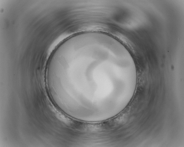 X0000066521086200603241330