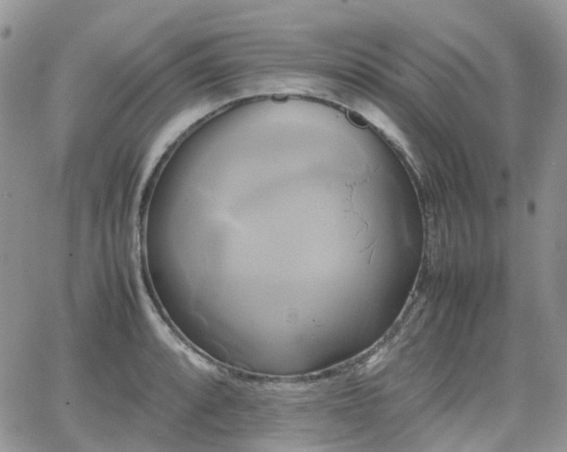 X0000066521088200603241330