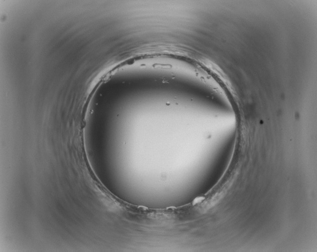 X0000066521089200603241330