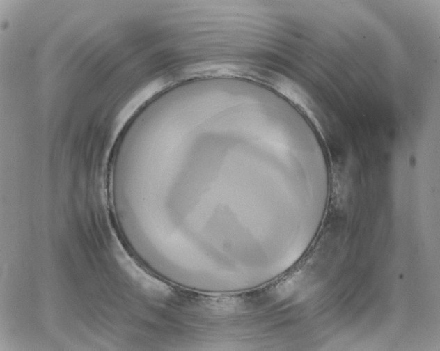 X0000066521090200603241330