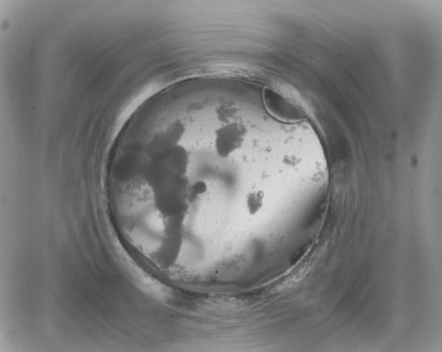 X0000066521091200603241330