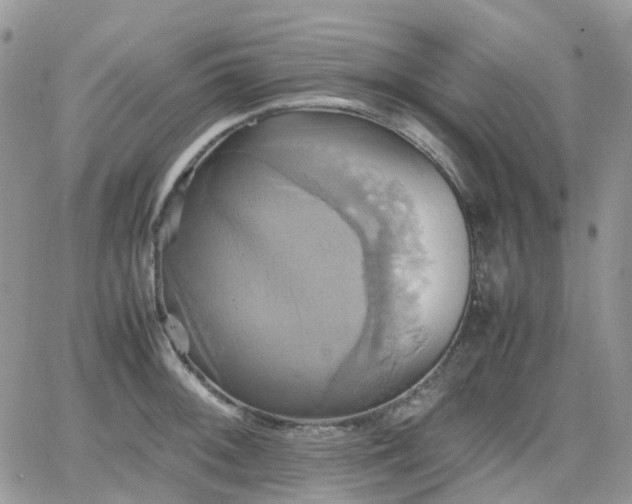 X0000066521092200603241330