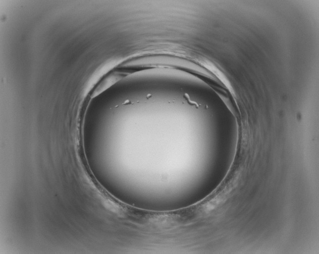 X0000066521093200603241330