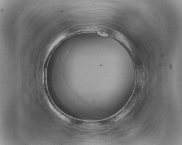 X0000066521095200603241330