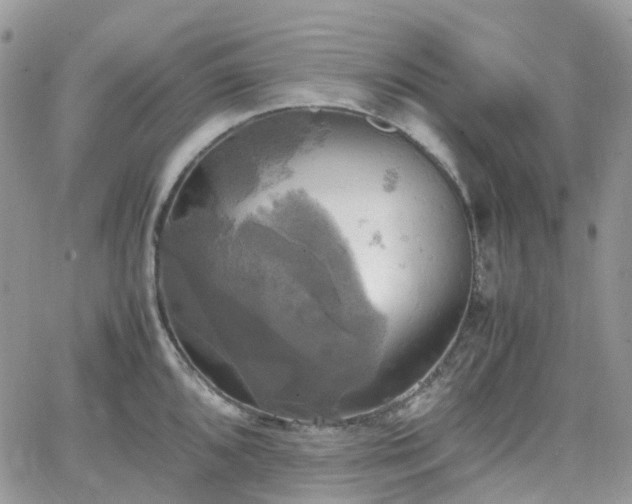 X0000066521096200603241330