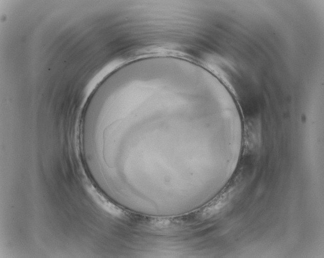 X0000066521098200603241330