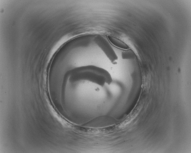 X0000066521099200603241330