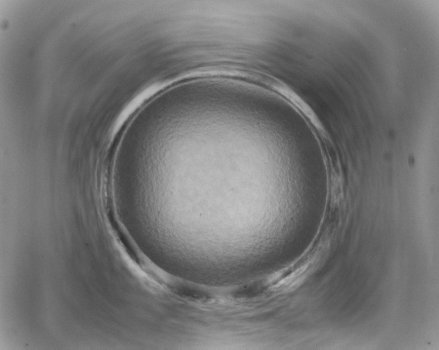 X0000066521101200603241330