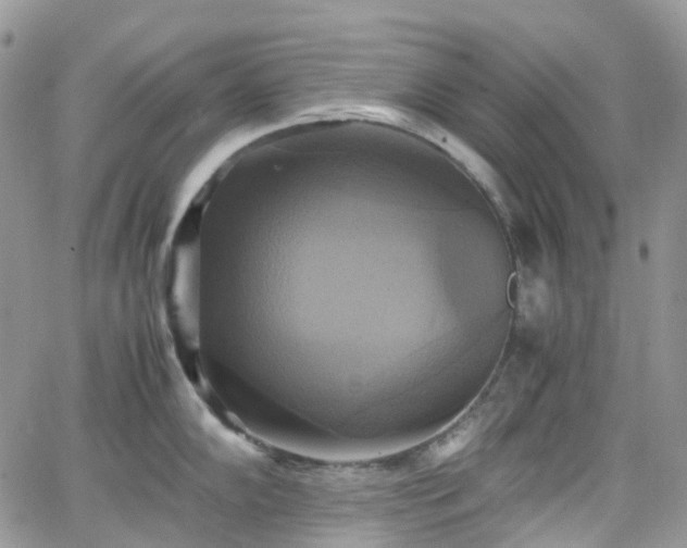 X0000066521102200603241330