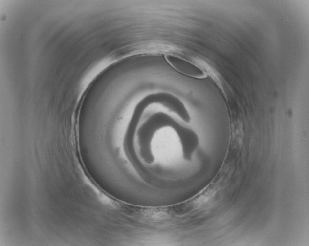 X0000066521103200603241330