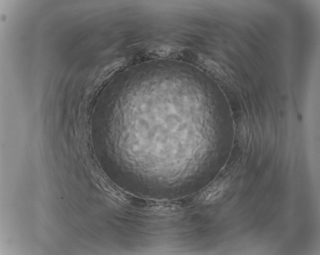 X0000066521105200603241329