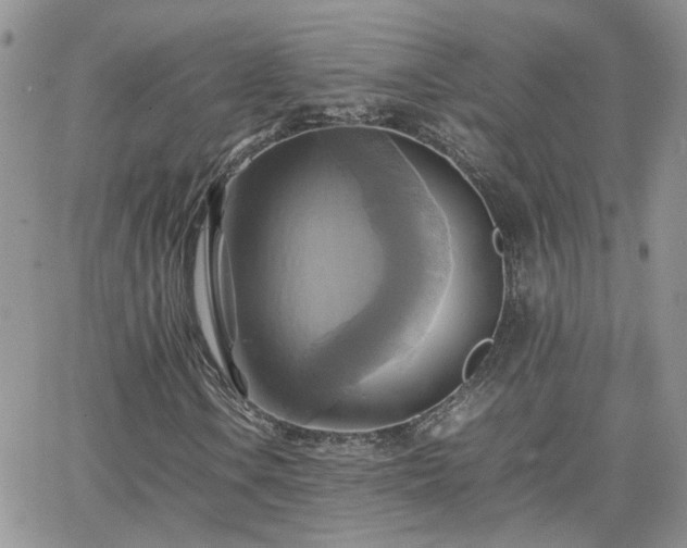 X0000066521106200603241329