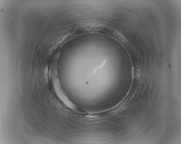 X0000066521108200603241329